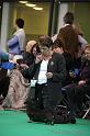 Crufts2011_2 1433